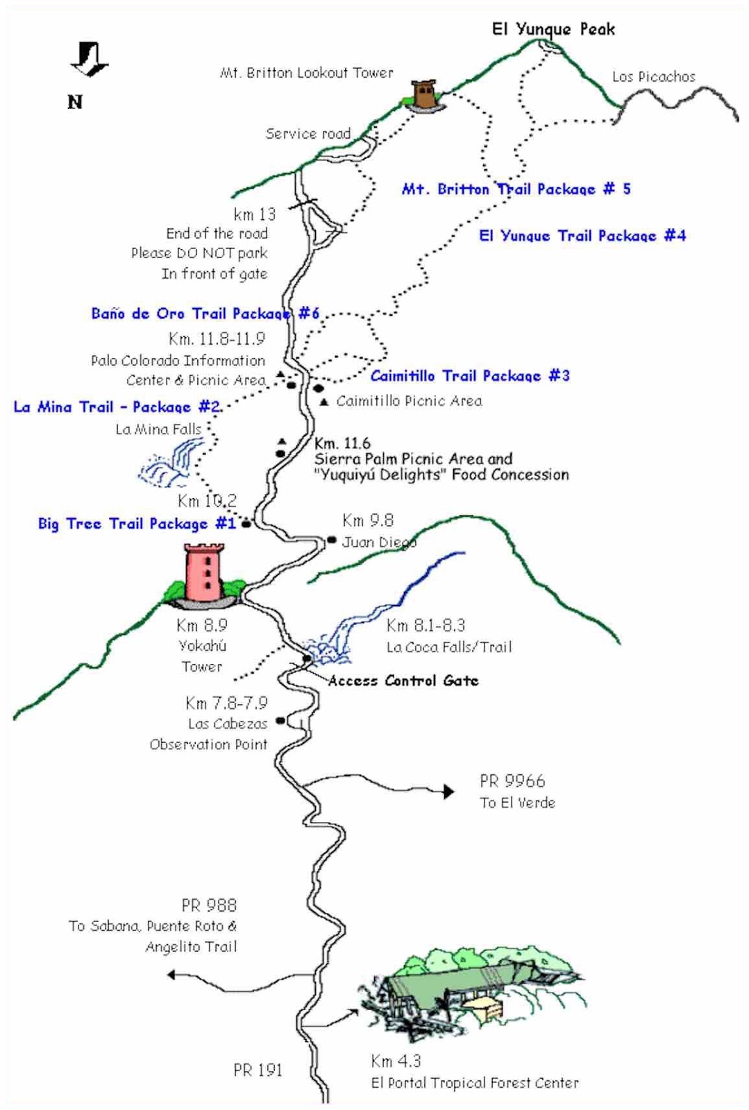 Trails in El Yunque National Forest