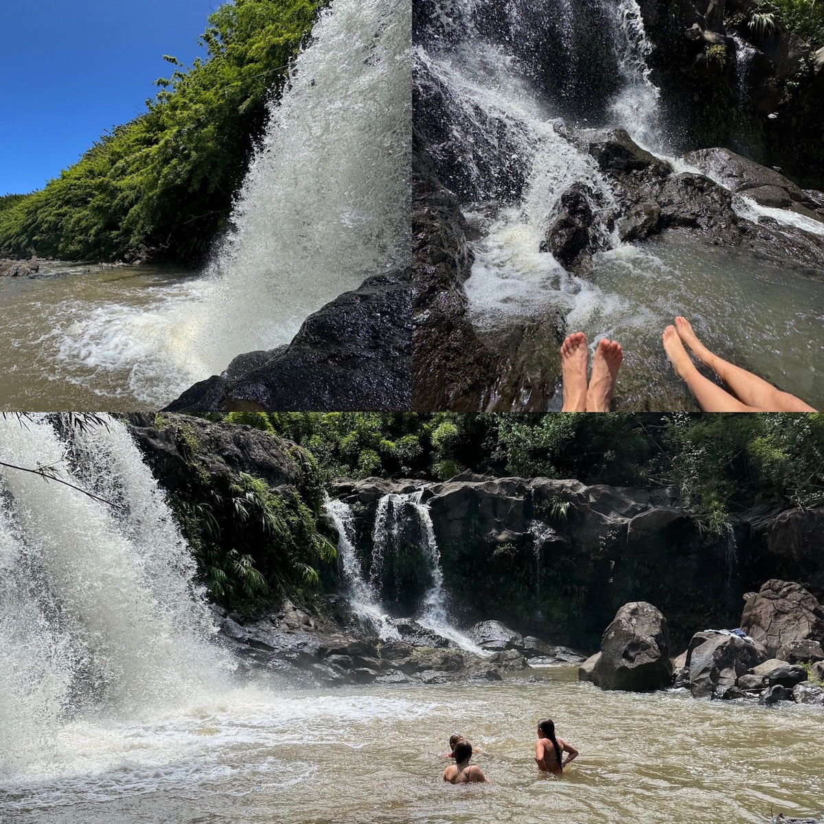 Photos from Hiking Maui’s Hidden Bamboo Forest