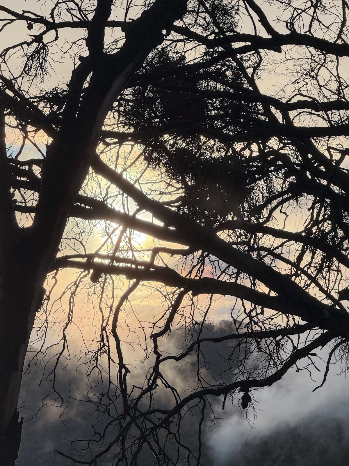 Sunset view in Sequoia National Park