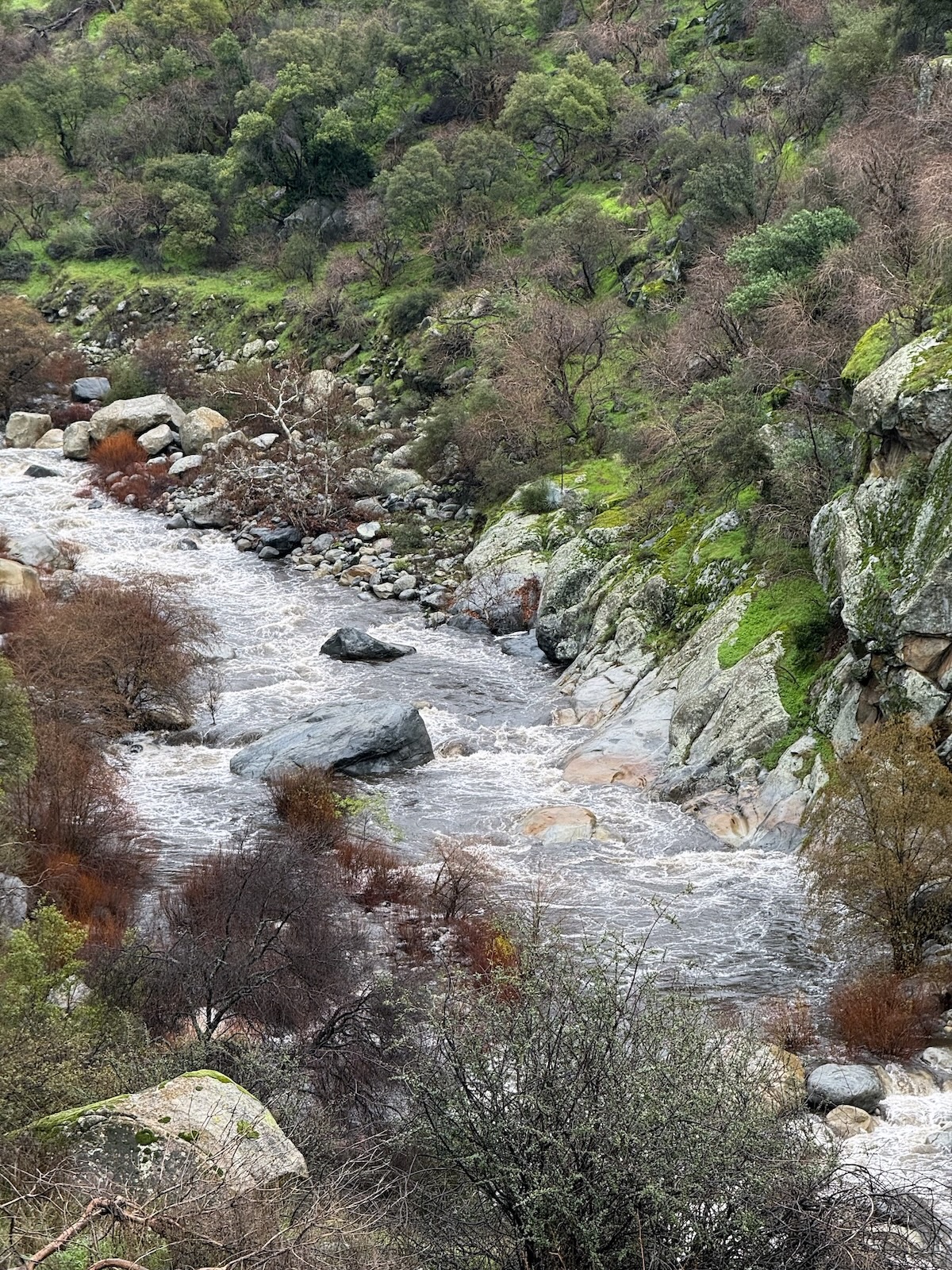 River near Sequoia National Park south entrance
