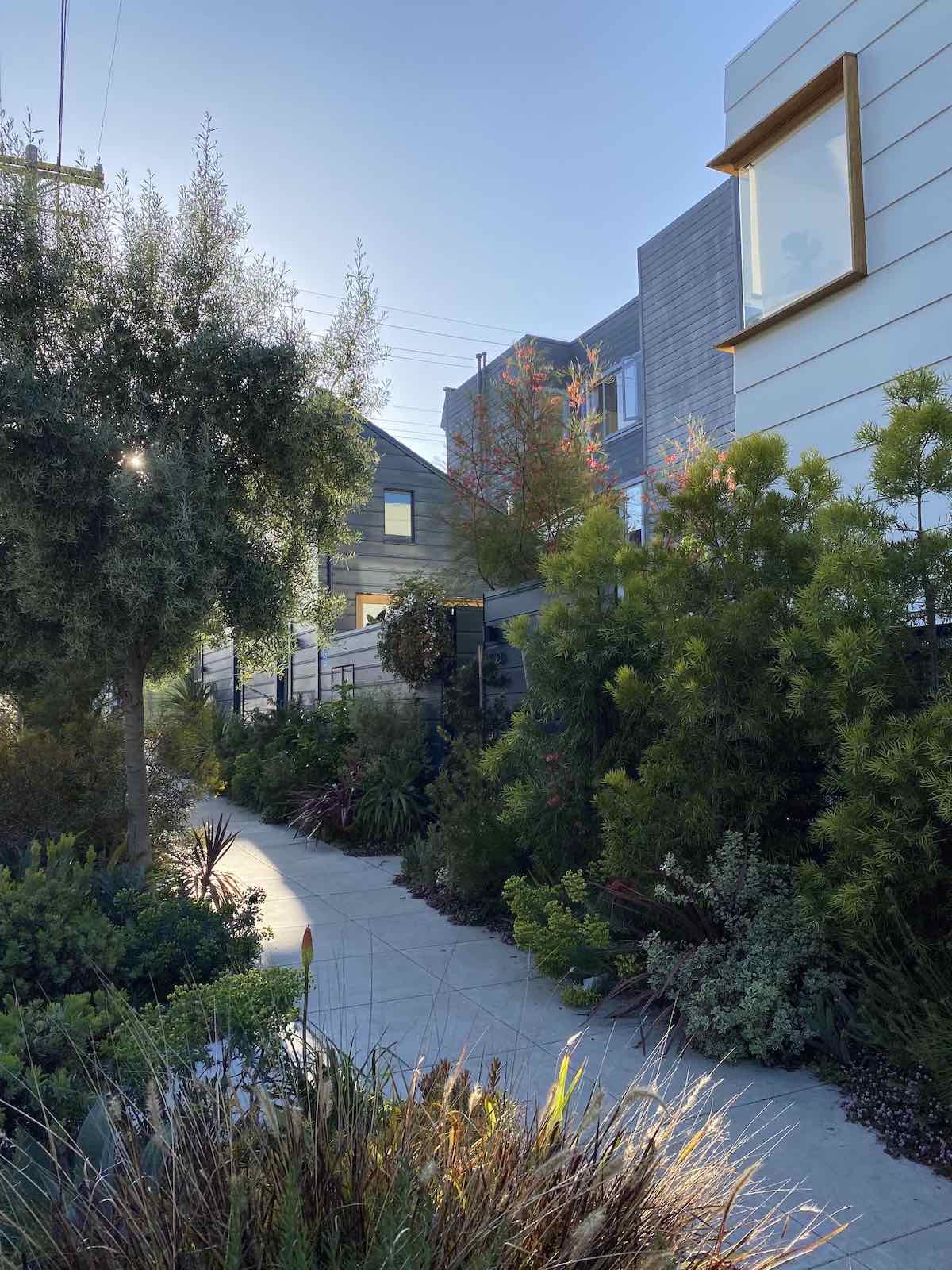 A Sidewalk Garden in San Francisco's Mission District